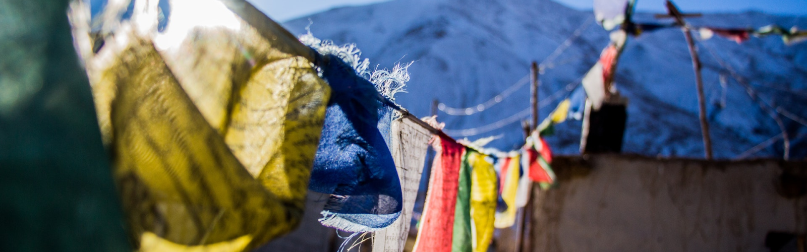 german translation services, german legal translation services, language connection, global communities, translation for businesses, professional german translators, multilingual communication, german to english translation